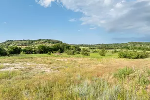 1085 Audrey Vly Ln, Glen Rose, TX 76043 - Photo 8