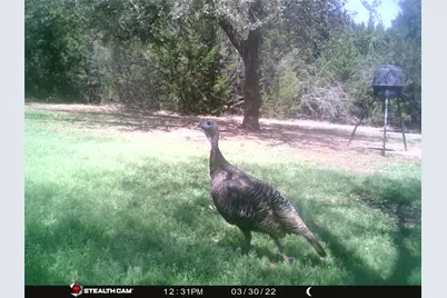 1181 Leaning Oak Trail, Whitney, TX 76692 - Photo 38