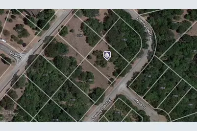 1181 Leaning Oak Trail, Whitney, TX 76692 - Photo 2