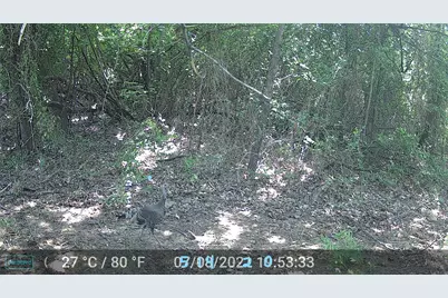 524 County Road 1792, Sunset, TX 76270 - Photo 2