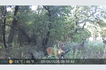 524 County Road 1792, Sunset, TX 76270 - Photo 1