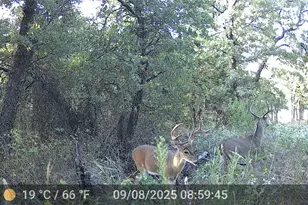 524 Co Rd 1792, Sunset, TX 76270 - Photo 1