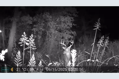 524 County Road 1792, Sunset, TX 76270 - Photo 10