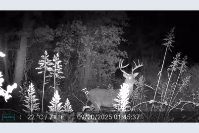 524 County Road 1792, Sunset, TX 76270 - Photo 4