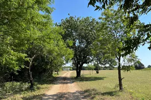 299 Private Rd 1452, Chico, TX 76431 - Photo 38