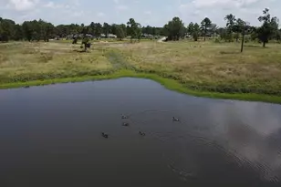 520 Cr 35985, Powderly, TX 75473 - Photo 10