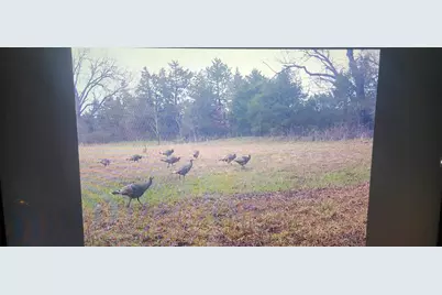 3285 Roland Road, Whitesboro, TX 76273 - Photo 8