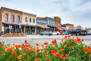 504 S Kirby St, Pilot Point, TX 76258 - Photo 38