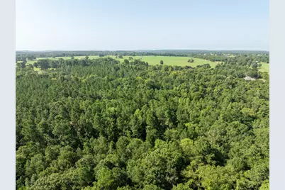 Tract 1 County Road 1713, Jacksonville, TX 75766 - Photo 12