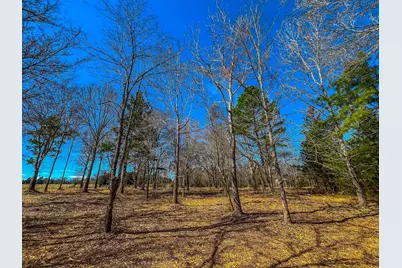 Tract 1 County Road 1713, Jacksonville, TX 75766 - Photo 1