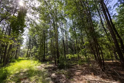 Tract 2 County Road 1713, Jacksonville, TX 75766 - Photo 18