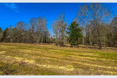 Tract 2 County Road 1713, Jacksonville, TX 75766 - Photo 14