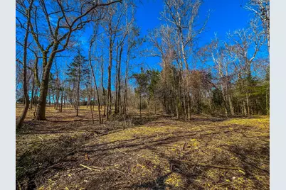 Tract 2 County Road 1713, Jacksonville, TX 75766 - Photo 4