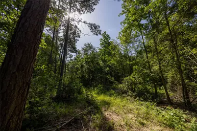 Tract 2 County Road 1713, Jacksonville, TX 75766 - Photo 16