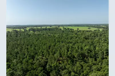 Tract 2 County Road 1713, Jacksonville, TX 75766 - Photo 6