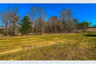 Tract 2 County Road 1713, Jacksonville, TX 75766 - Photo 1