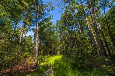 Tract 3 County Road 1713, Jacksonville, TX 75766 - Photo 14