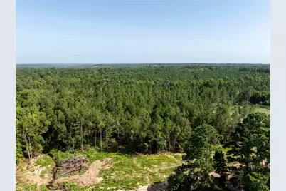 Tract 3 County Road 1713, Jacksonville, TX 75766 - Photo 6