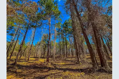 Tract 3 County Road 1713, Jacksonville, TX 75766 - Photo 2