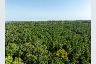 Tract 3 County Road 1713, Jacksonville, TX 75766 - Photo 10