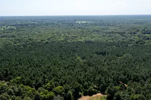 Tbd Hwy 84, Timpson, TX 75975 - Photo 22