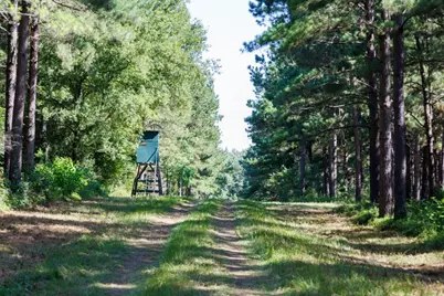 Tbd Hwy 84, Timpson, TX 75975 - Photo 18