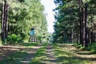 Tbd Hwy 84, Timpson, TX 75975 - Photo 18