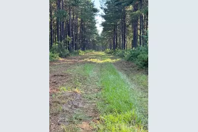 Tbd Hwy 84, Timpson, TX 75975 - Photo 12