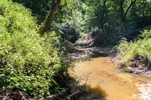 Tbd Hwy 84, Timpson, TX 75975 - Photo 24