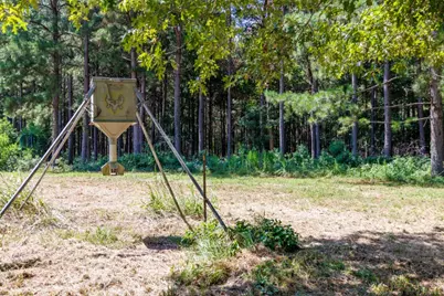 Tbd Hwy 84, Timpson, TX 75975 - Photo 30