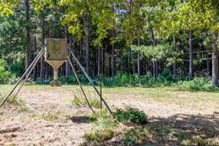 Tbd Hwy 84, Timpson, TX 75975 - Photo 30