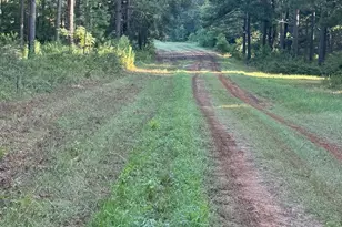 Tbd Hwy 84, Timpson, TX 75975 - Photo 10