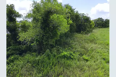 Lot 4 Oasis Drive, Kerens, TX 75144 - Photo 28