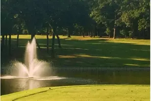 275 Wildwood Trail, Holly Lake Ranch, TX 75765 - Photo 24