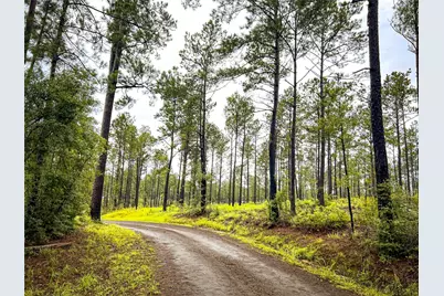 4 Cr 257, Jasper, TX 75951 - Photo 14