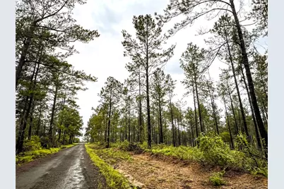 4 Cr 257, Jasper, TX 75951 - Photo 12