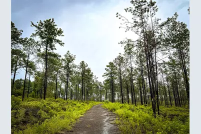 4 Cr 257, Jasper, TX 75951 - Photo 4