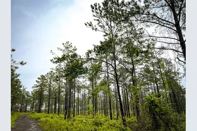 4 Cr 257, Jasper, TX 75951 - Photo 2