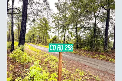 5 Cr 257, Jasper, TX 75951 - Photo 14