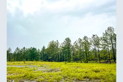 5 Cr 257, Jasper, TX 75951 - Photo 8