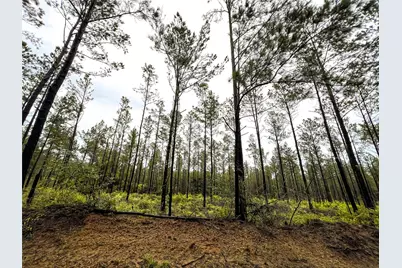 5 Cr 257, Jasper, TX 75951 - Photo 12