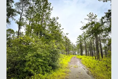 5 Cr 257, Jasper, TX 75951 - Photo 2