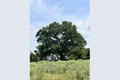 200 Vz Cr 2422, Mabank, TX 75147 - Photo 22