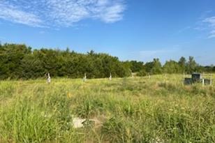 434 Co Rd 4445, Trenton, TX 75490 - Photo 2