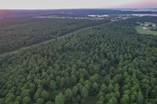 Tract 2 Hwy 155, Frankston, TX 75763 - Photo 6
