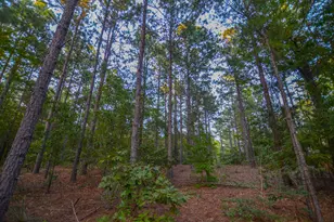 Tract 2 Hwy 155, Frankston, TX 75763 - Photo 16