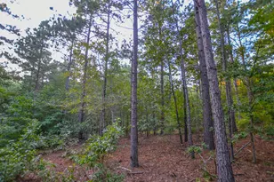 Tract 2 Hwy 155, Frankston, TX 75763 - Photo 14