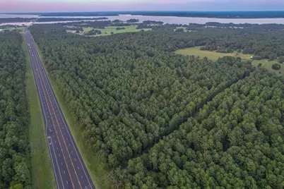 Tract 2 Hwy 155, Frankston, TX 75763 - Photo 4