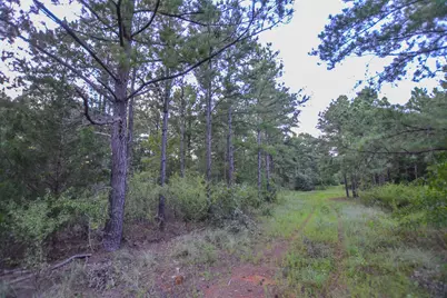 Tract 2 Hwy 155, Frankston, TX 75763 - Photo 12