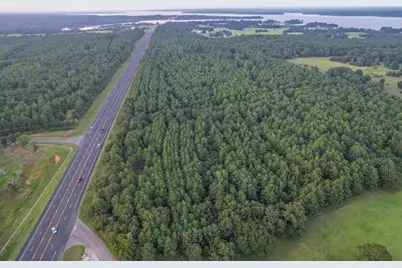 Tract 3 Hwy 155, Frankston, TX 75763 - Photo 4